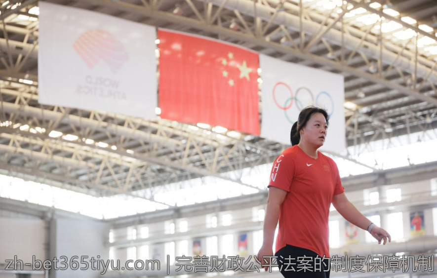 完善财政公平法案的制度保障机制