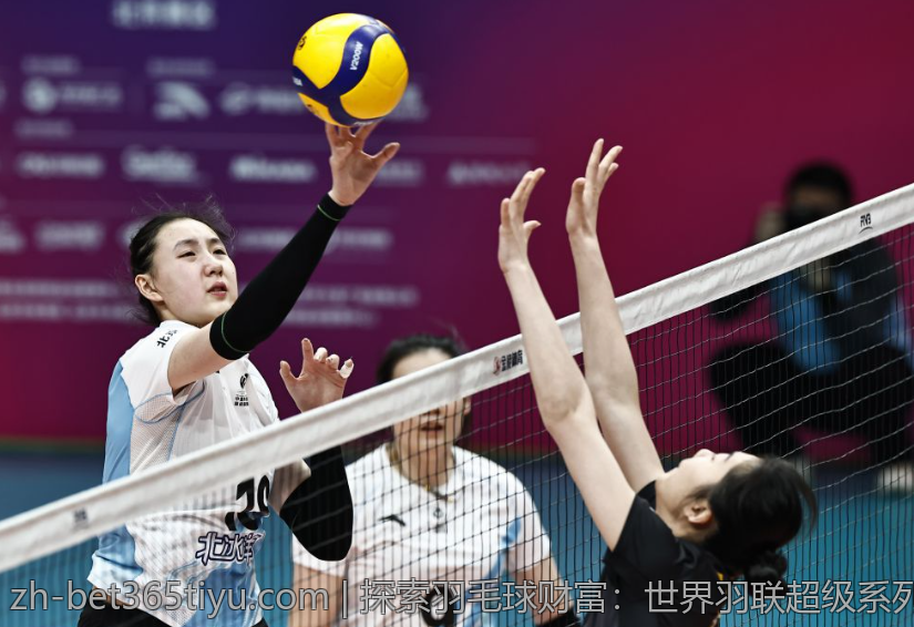 探索羽毛球财富：世界羽联超级系列赛奖励金动态