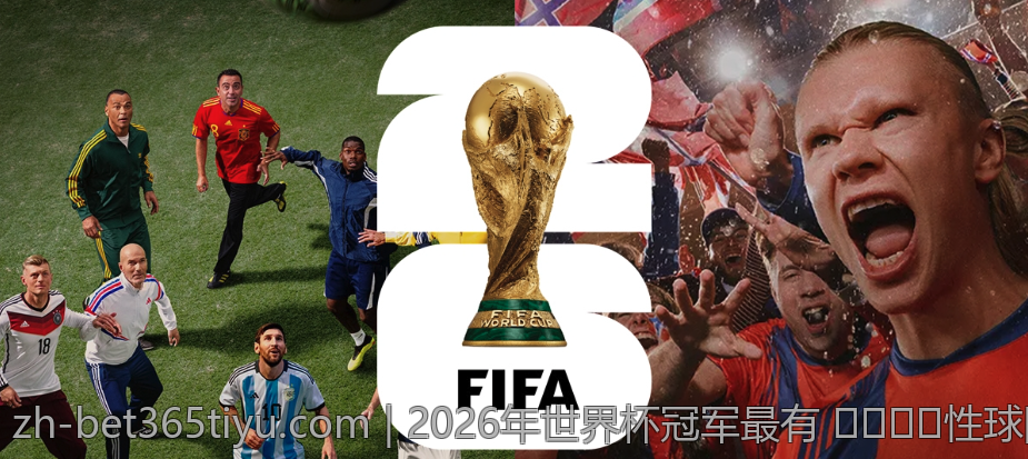 bet365体育用户体验评测与反馈