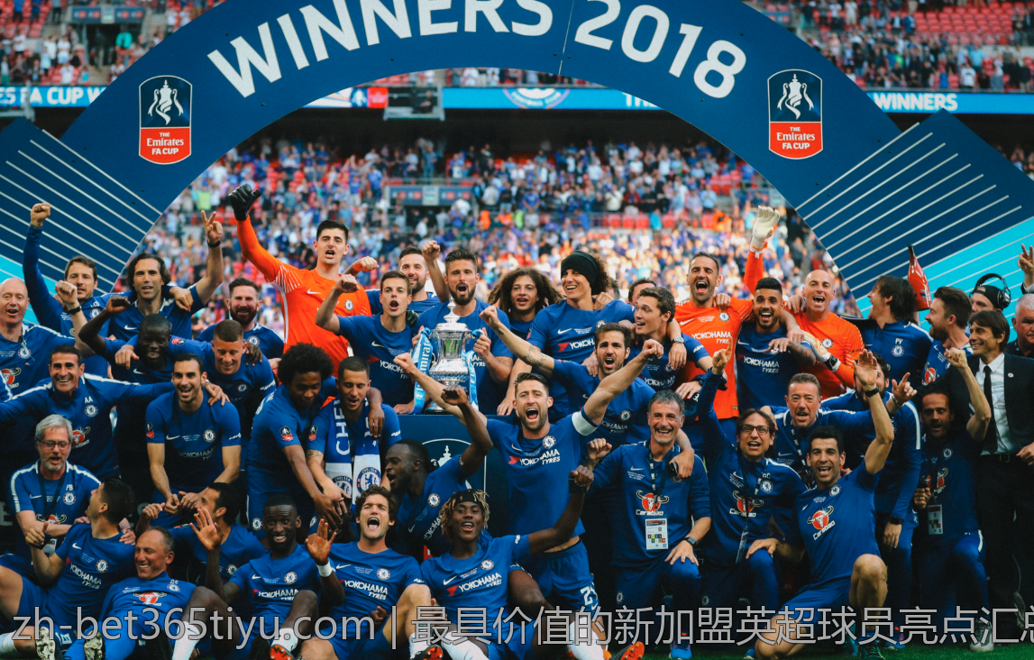 最具价值的新加盟英超球员亮点汇总
